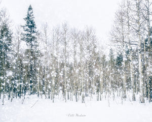 Snowflakes Among Aspen