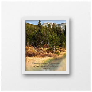 Yosemite Photography | Fall Colors in Tuolumne Meadows | Pained Effect-Photograph-Patti Mustain 